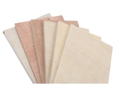 江苏杨木托盘板多层胶合板 江西免熏蒸包装木箱定制异形胶合板